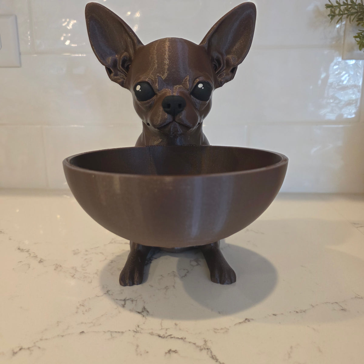 Vide-poche Chihuahua