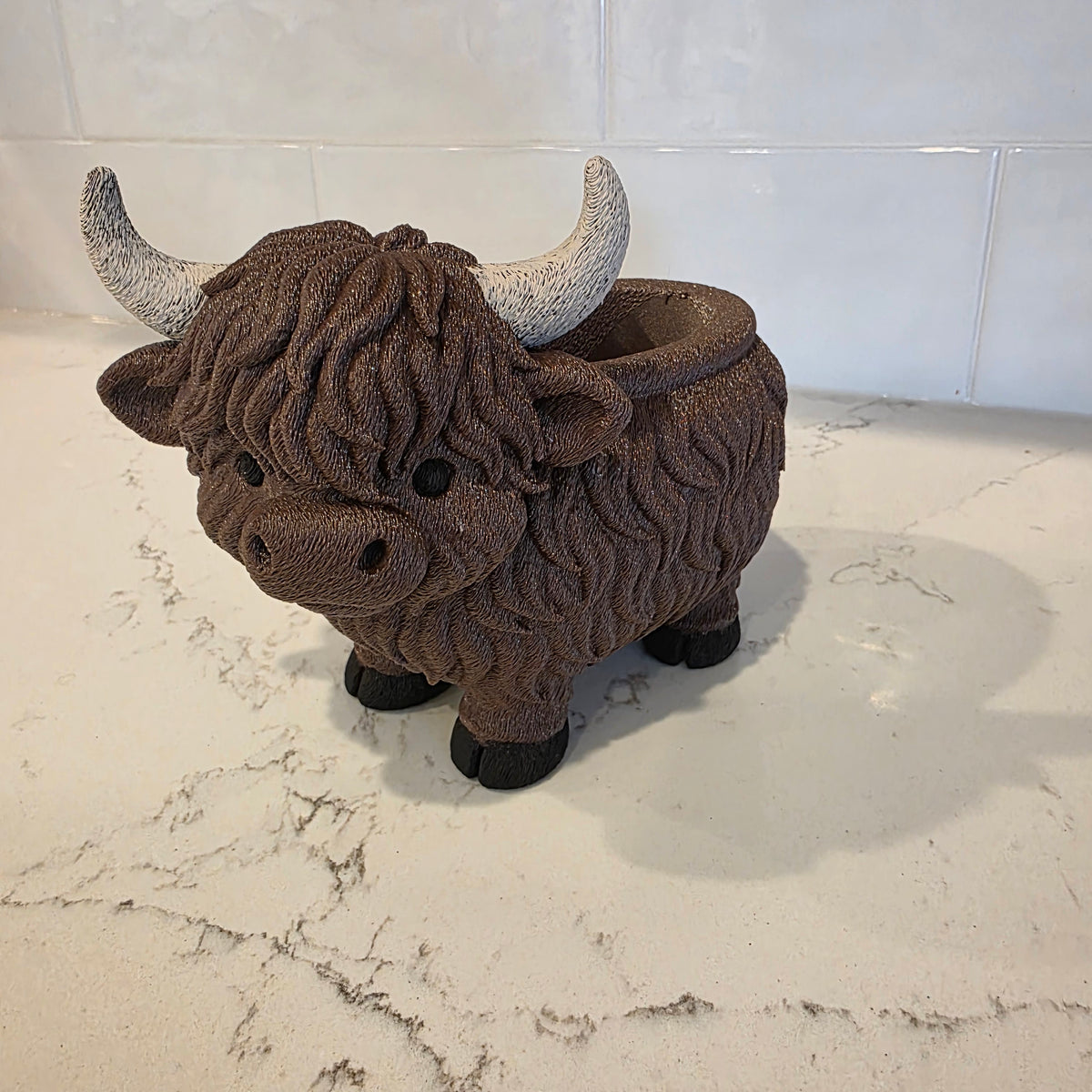 Pot à succulentes vache des Highlands