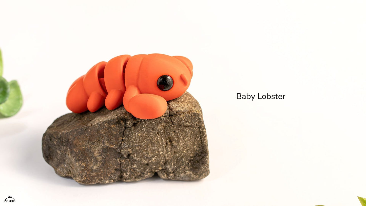 6a041d51b48fe50b080237df_baby-lobster5_1783373299295.jpg