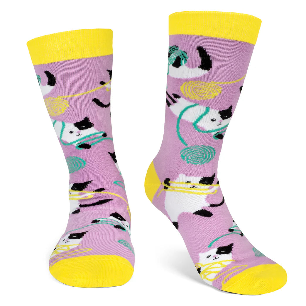 6a041d51b48fe50b080237df_catyarn_1783556555743.jpg