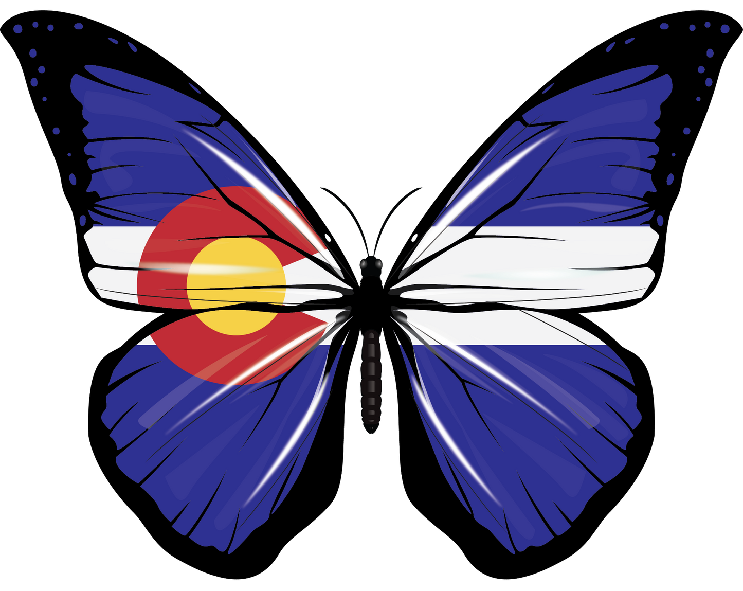 6a041d51b48fe50b080237df_colorado_1783371374409.png