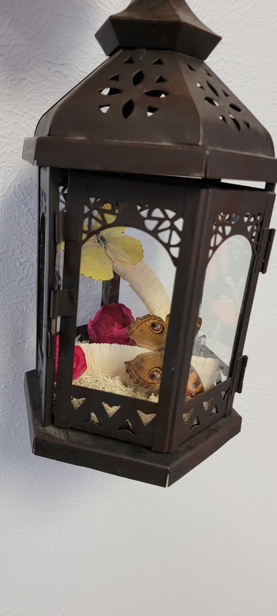 Oddity Lantern - Create Marketplace