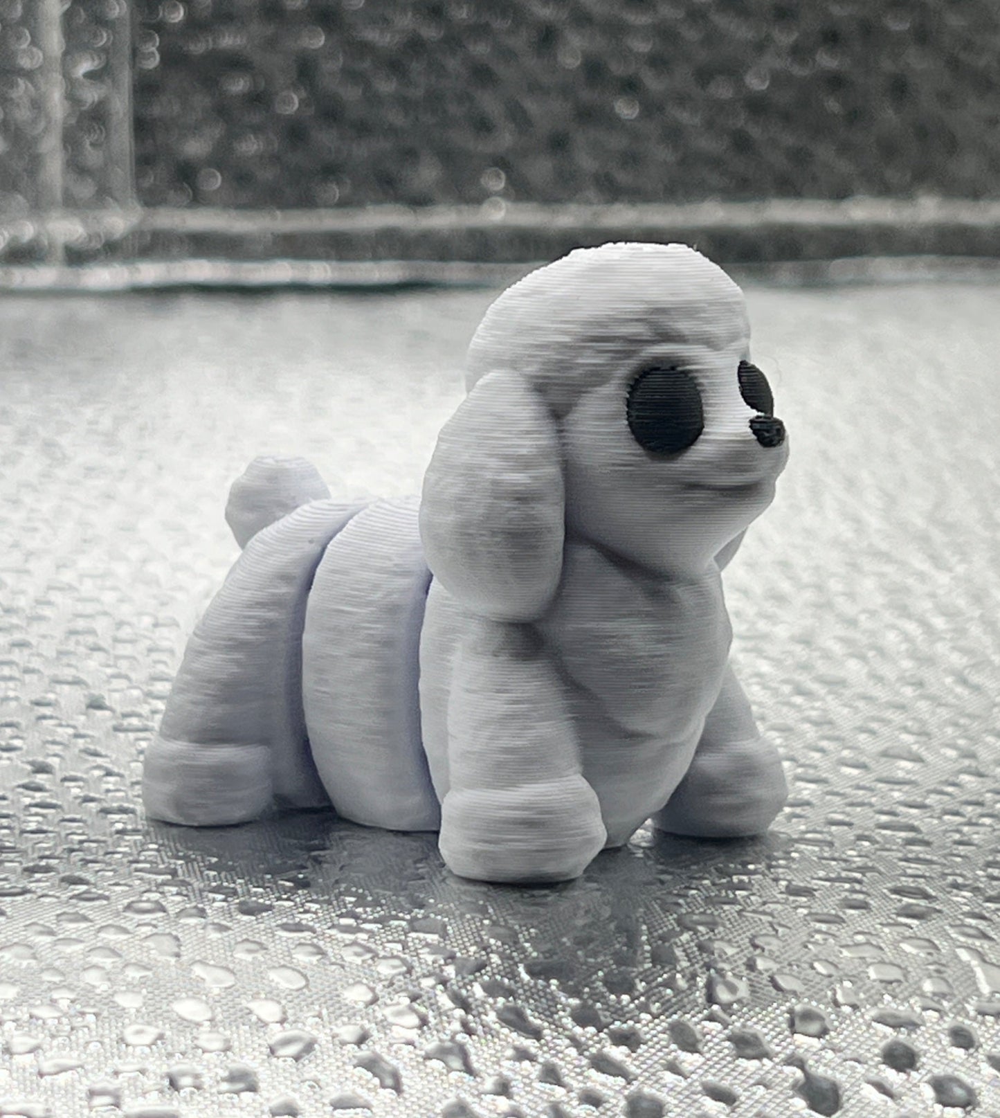 Poodle Dog 2” ZOU - Create Marketplace