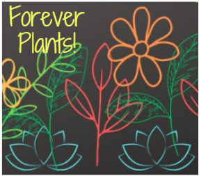 Forever Plants!