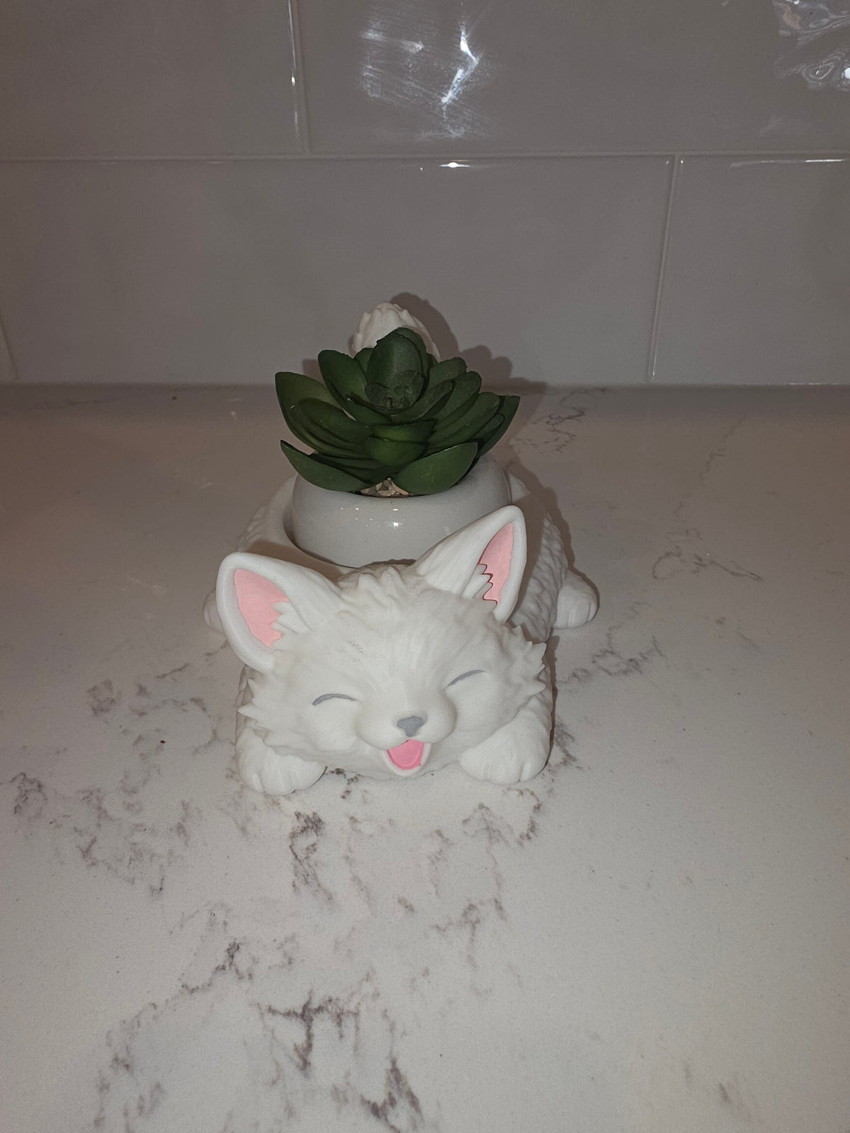 Cache-pot succulente chat heureux