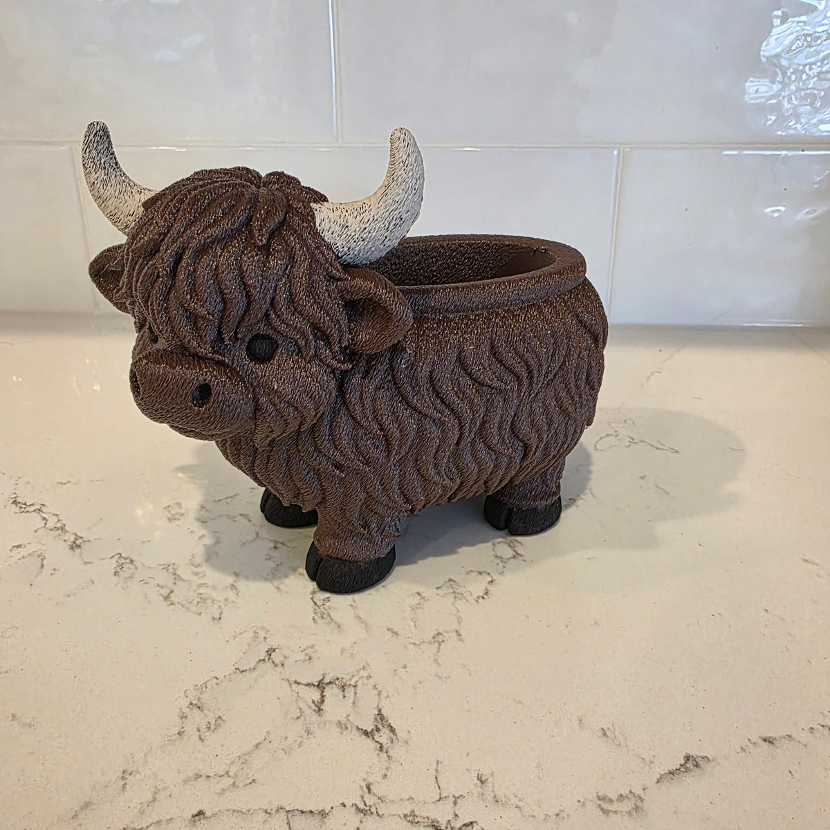 Pot à succulentes vache des Highlands