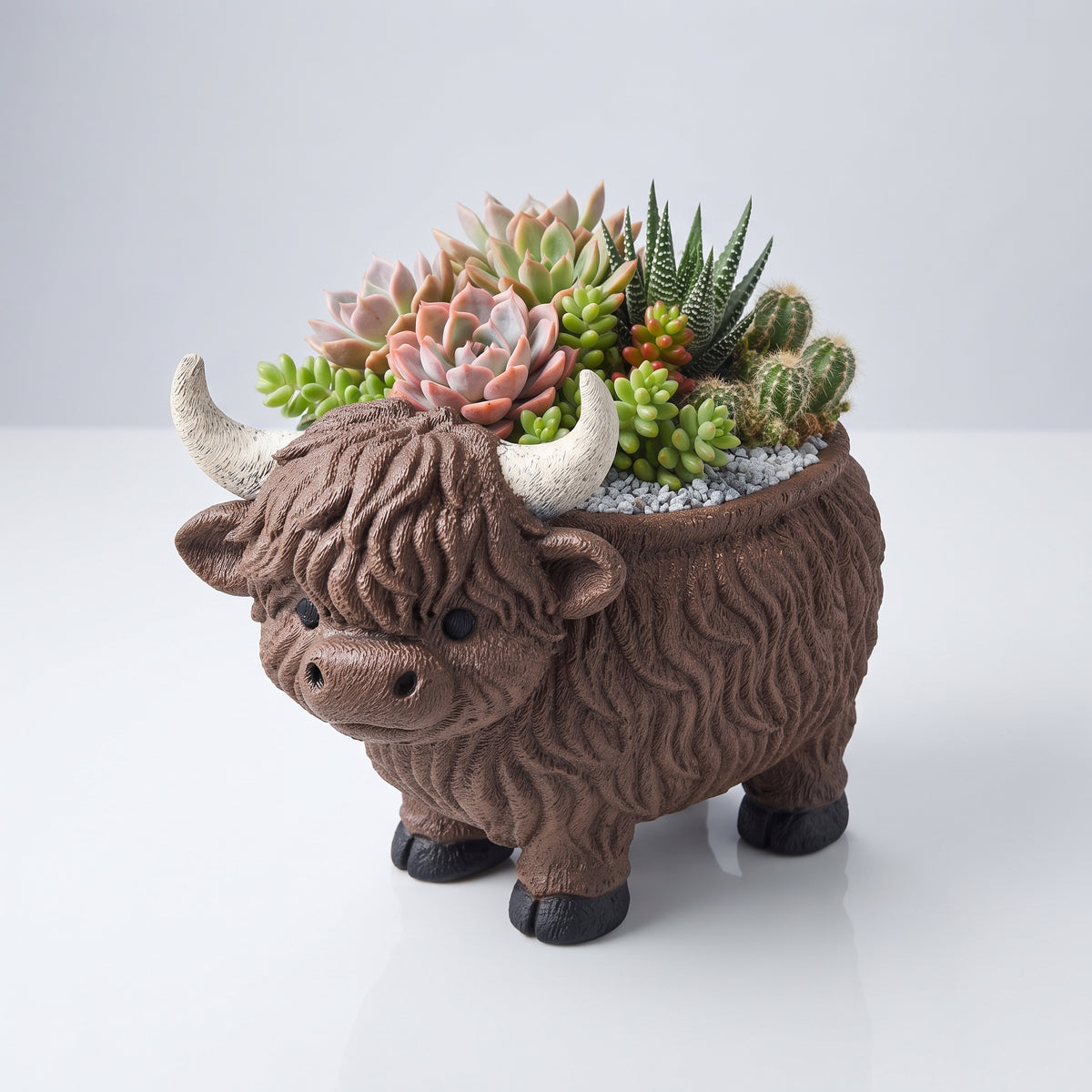 Pot à succulentes vache des Highlands