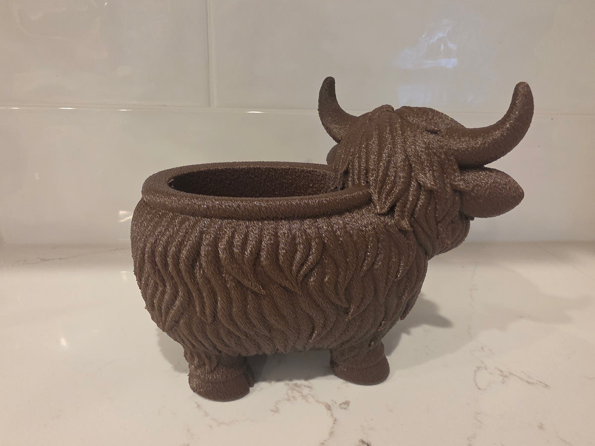 Pot à succulentes vache des Highlands