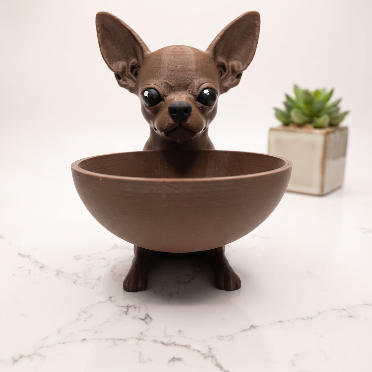 Vide-poche Chihuahua