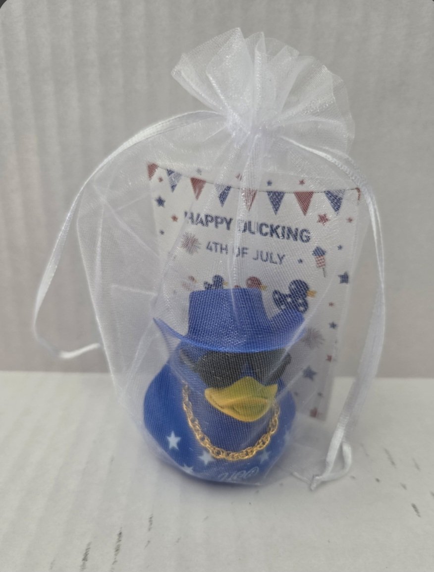 6a041d51b48fe50b080237df_blue-duck_1783105267428.jpg