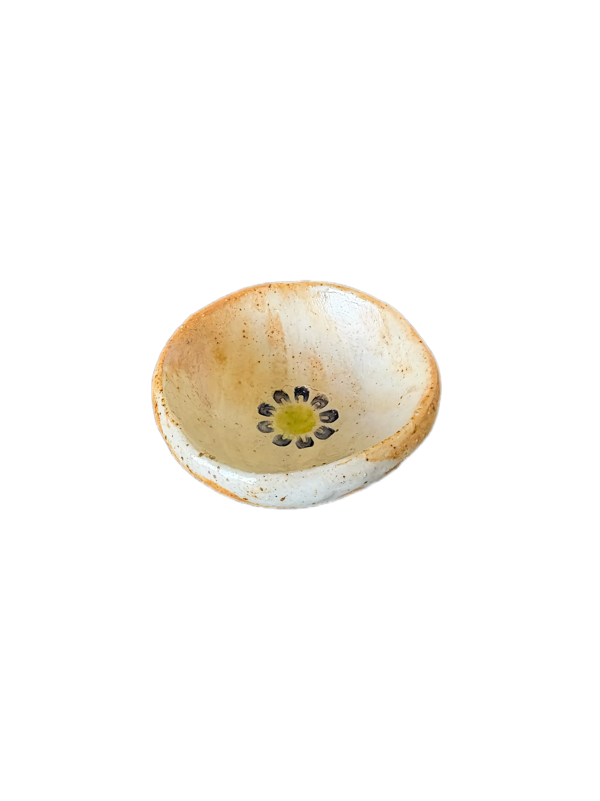 6a041d51b48fe50b080237df_blue-yellow-flower_1789955131134.png