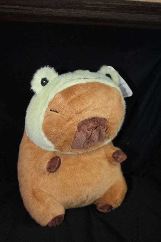 6a041d51b48fe50b080237df_capybara-179_1782964328394.jpg