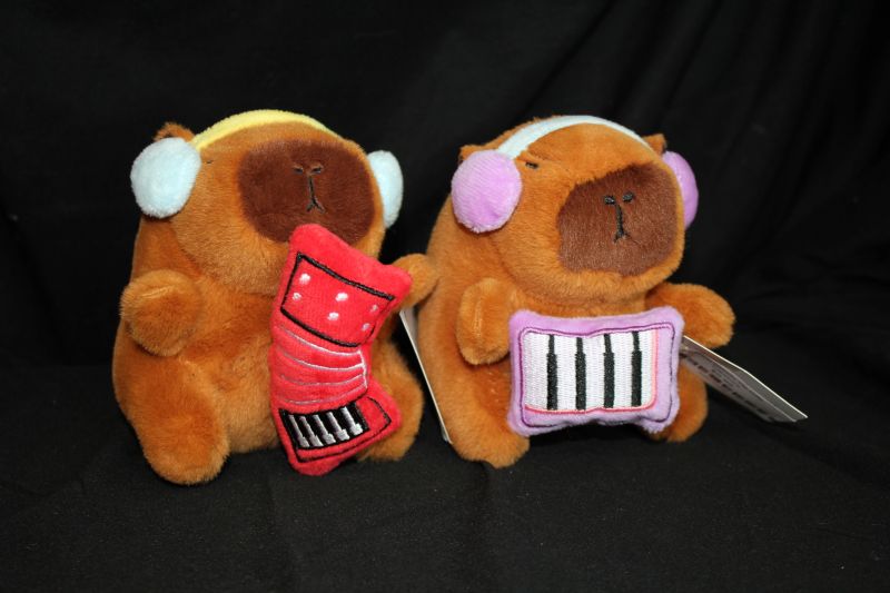 6a041d51b48fe50b080237df_capybara-400_1782964455343.jpg