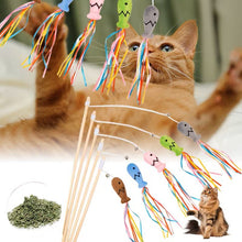 6a041d51b48fe50b080237df_cat502a_1784662562181.jpg