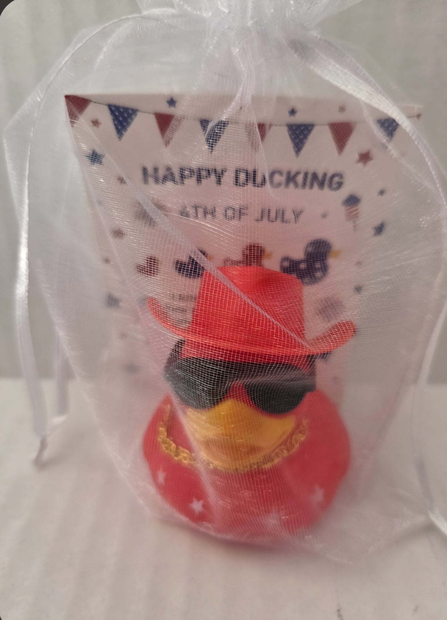 6a041d51b48fe50b080237df_duck_1783105304490.jpg