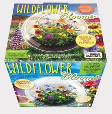6a041d51b48fe50b080237df_flower-1_1783009425517.png