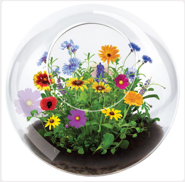 6a041d51b48fe50b080237df_flower-4_1783009425518.png