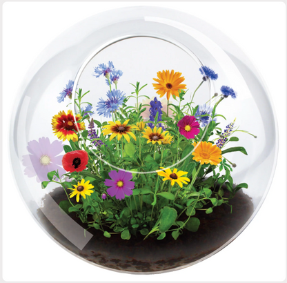 6a041d51b48fe50b080237df_flower-4_1783009425518.png