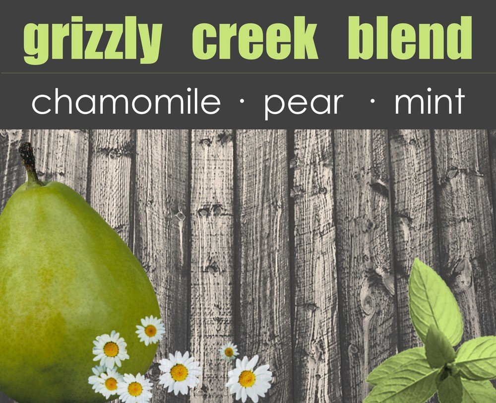 6a041d51b48fe50b080237df_grizzlycreek-big-1-_1783543793804.jpeg
