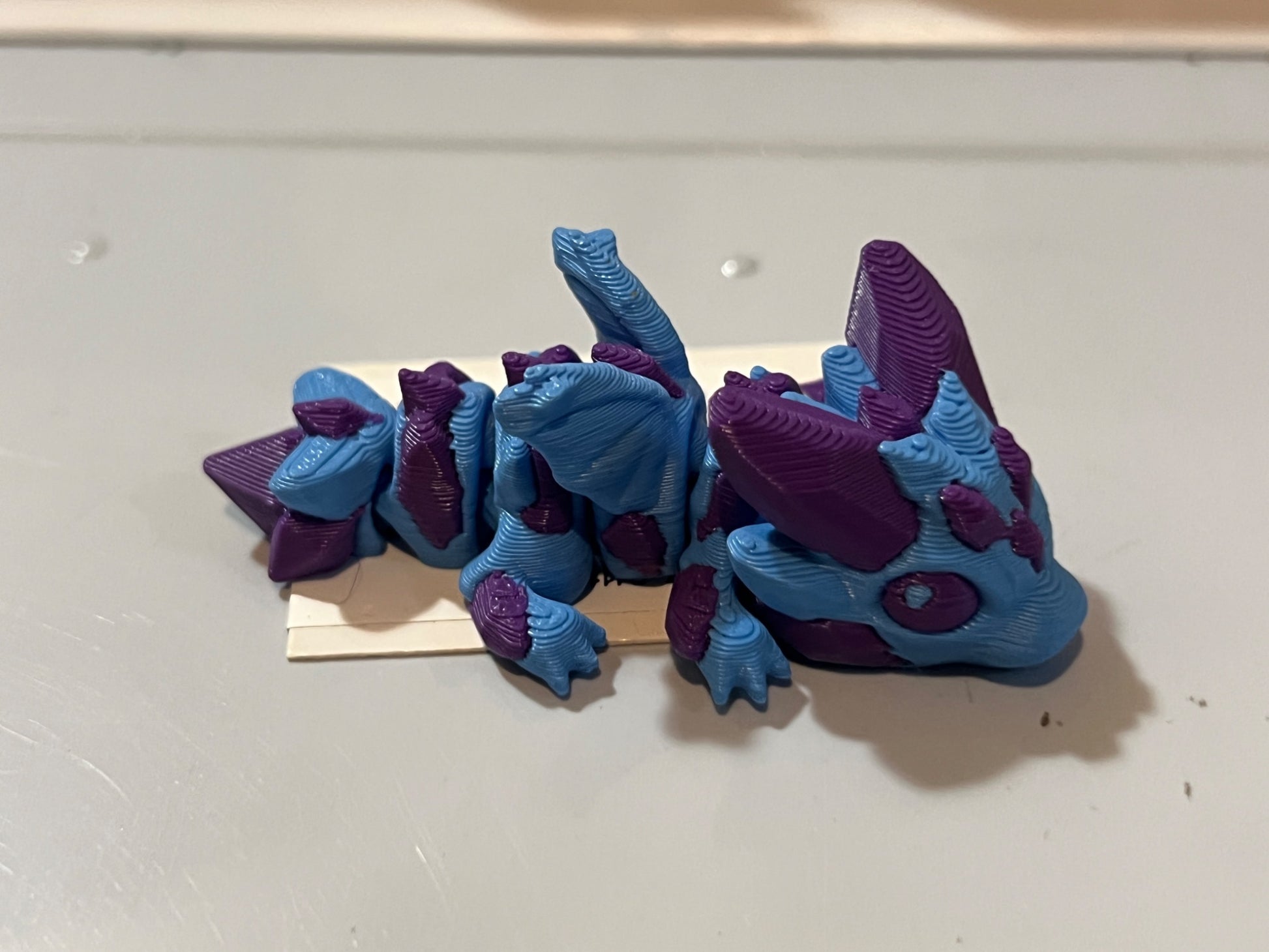 6a041d51b48fe50b080237df_img-0396_1786042521297.jpeg