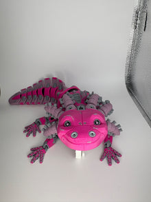 6a041d51b48fe50b080237df_img-3954_1786905626410.jpeg