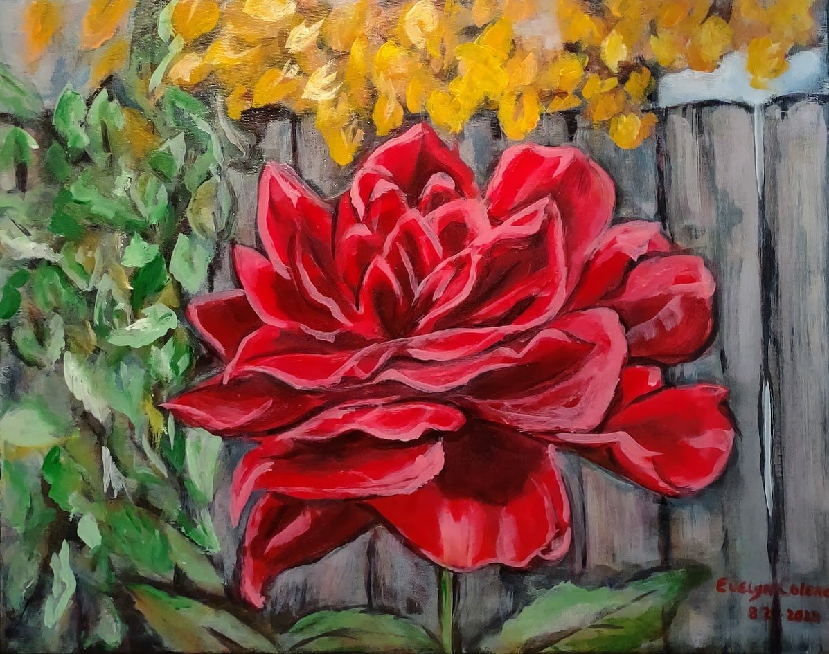 6a041d51b48fe50b080237df_red-rose_1783557048820.jpg