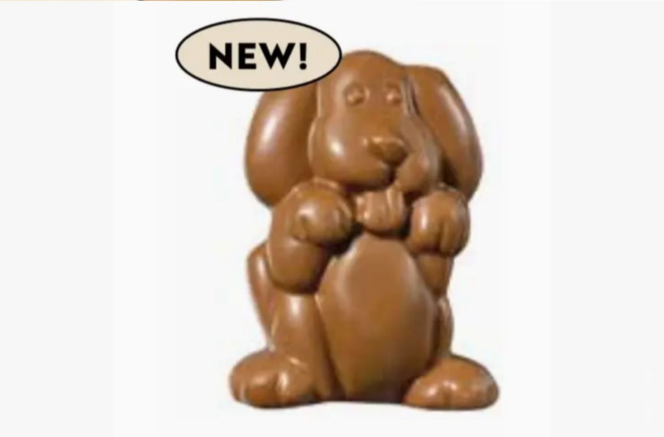 6a041d51b48fe50b080237df_screenshot-2026-07-06-at-15-54-40-o-novelty-milk-chocolate-happy-puppy-dog-faire_1783875574420.png