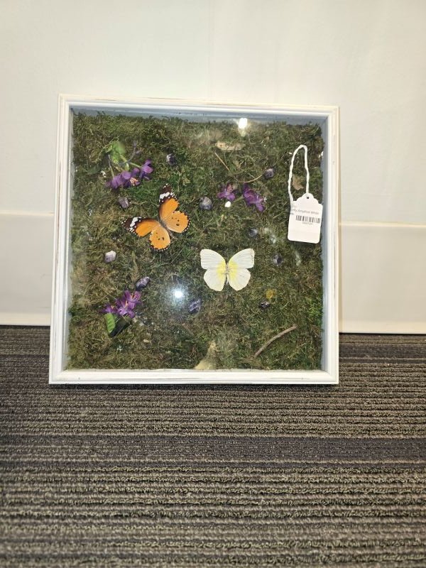 Butterfly Amethyst White Frame - Create Marketplace