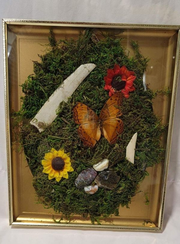Butterfly Bone Gold Frame - Create Marketplace