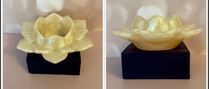 Lotus Flower Tray Open - Create Marketplace
