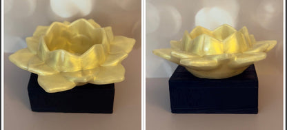 Lotus Flower Tray Open - Create Marketplace