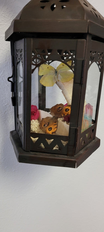 Oddity Lantern - Create Marketplace