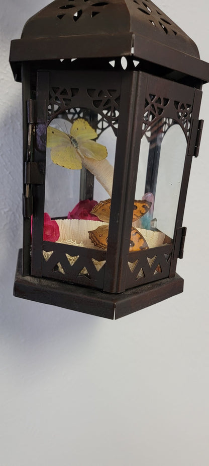 Oddity Lantern - Create Marketplace