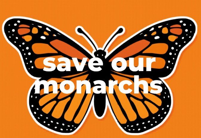 Pollinator Power Bumper stickers - Create Marketplace